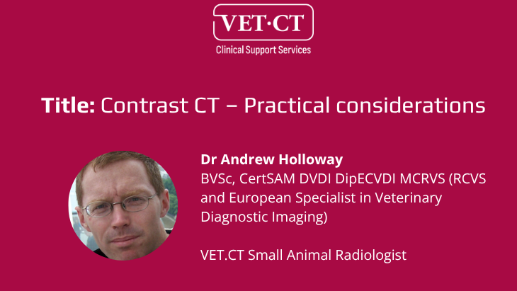 Watch back our radiology webinars | VET.CT