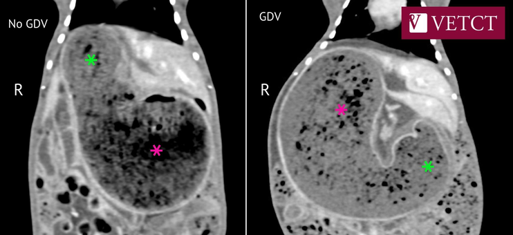 Ball Ball CT scans (2)