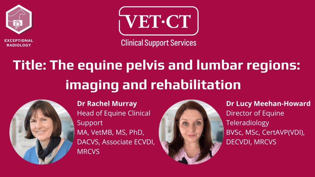 Equine Webinar Series 2025