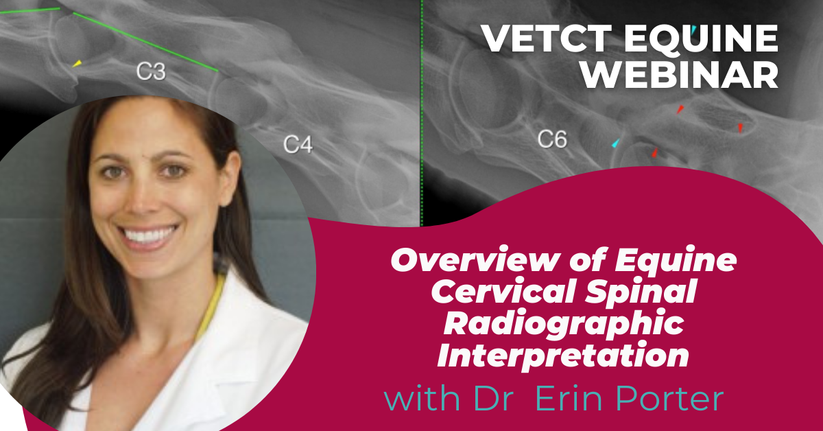 Erin Porter Webinar 1