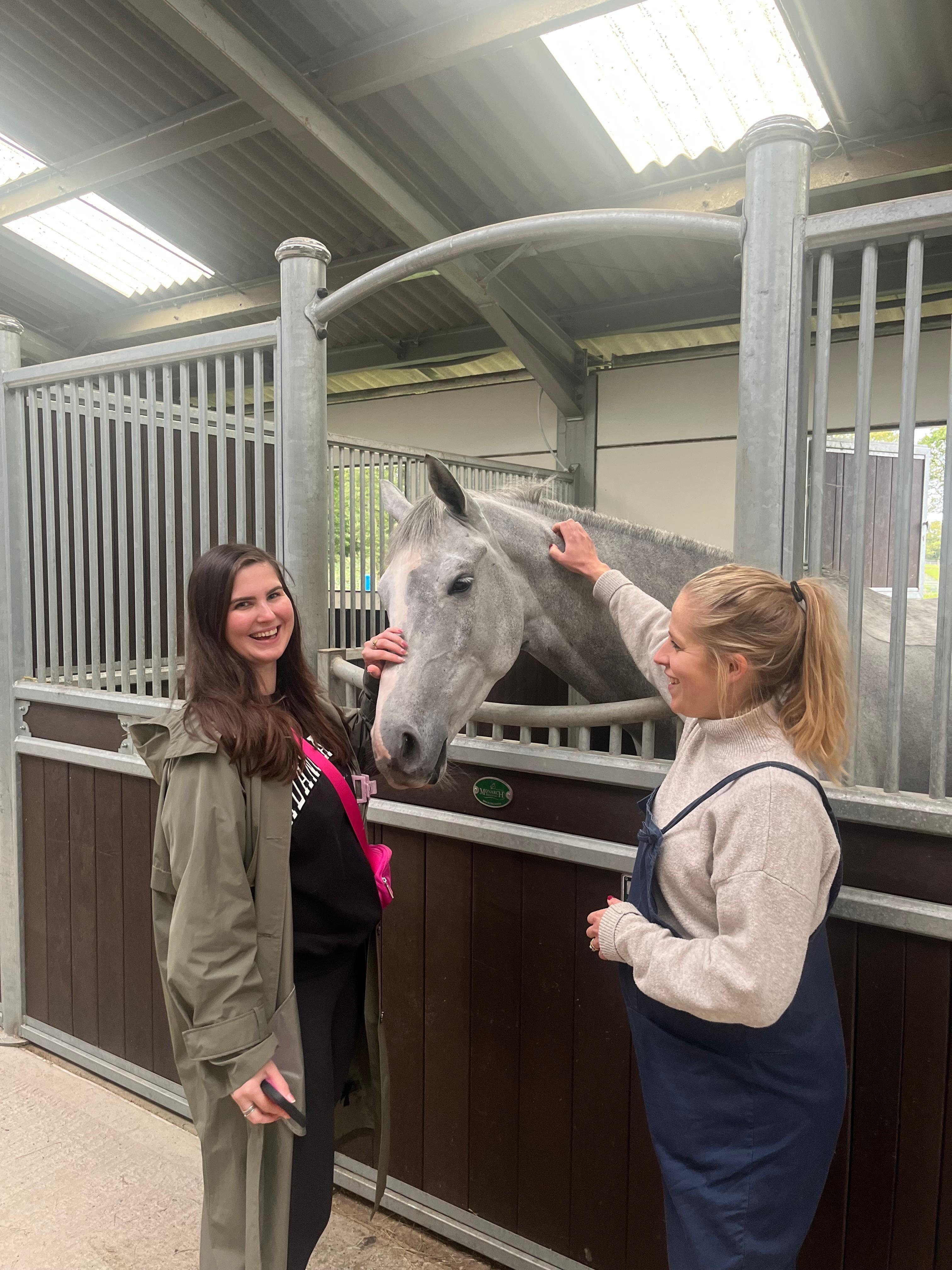 VET.CT showcases their veterinary excellence at London Vet Show