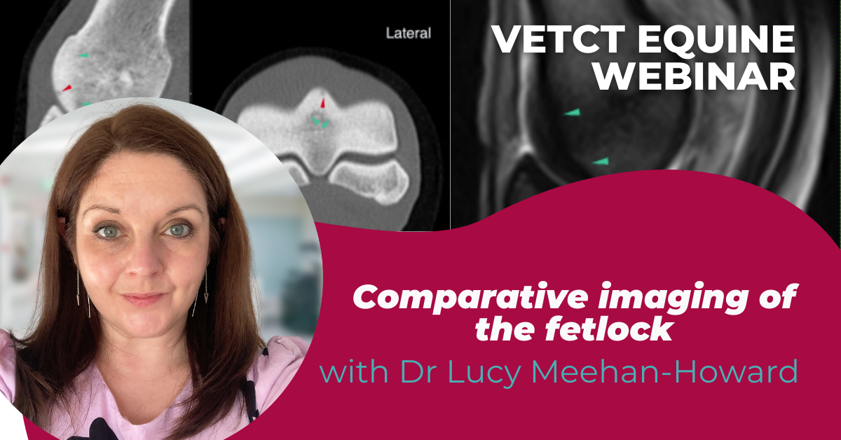 Webinar 3 - Lucy Meehan Howard 