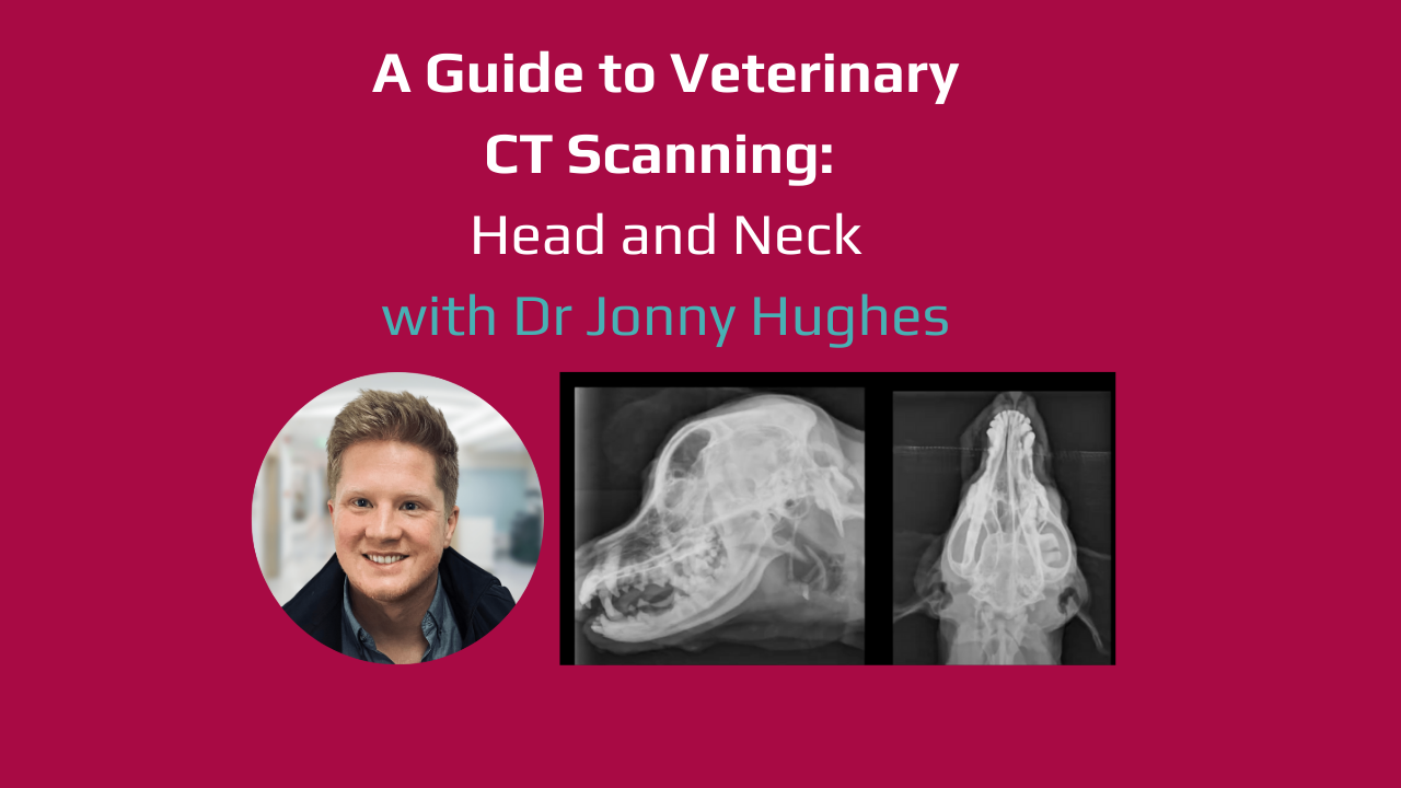 Video Guides to Veterinary CT Scanning - Head and Neck