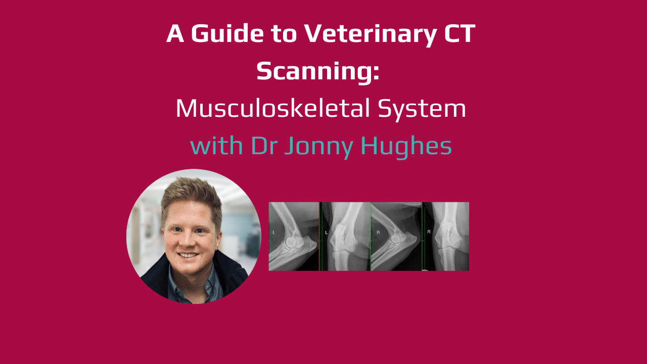 Video Guides to Veterinary CT Scanning - Musculoskeletal System