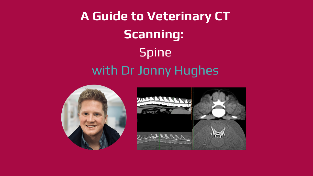 Video Guides to Veterinary CT Scanning - Spine