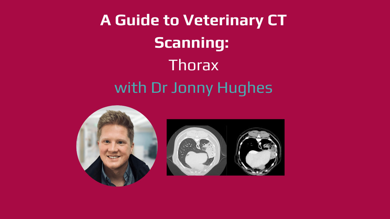 Video Guides to Veterinary CT Scanning - The Thorax