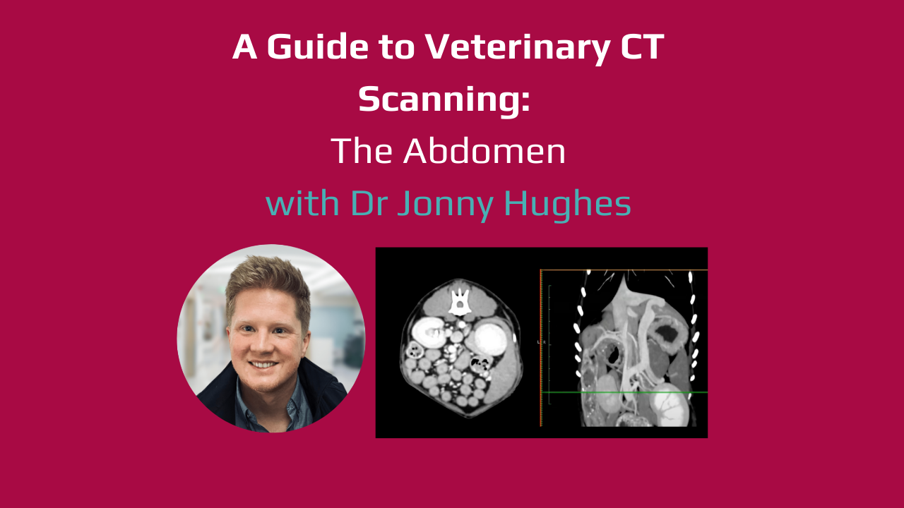 Video Guides to Veterinary CT Scanning - The Abdomen