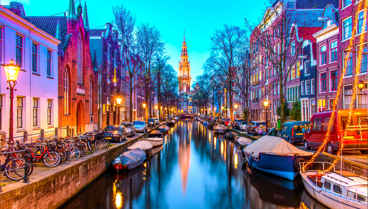 Meet our exceptional equine team in Amsterdam