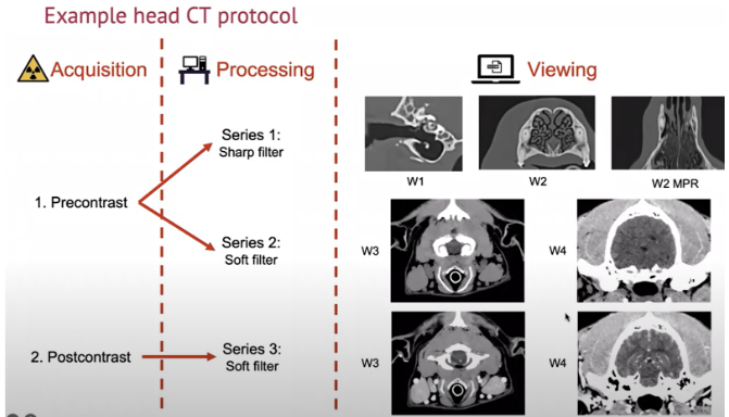 How and When to Perform CT Reconstructions for Veterinary Patients