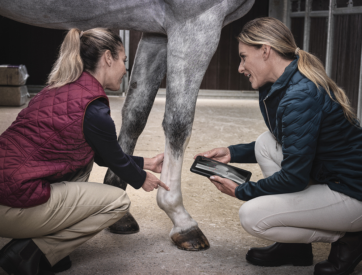 Equine Winter Webinars 2023