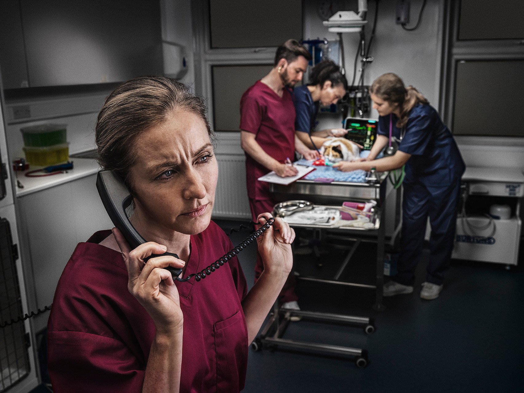 Vet on the phone to a specialist during treatment of an animal at the vets