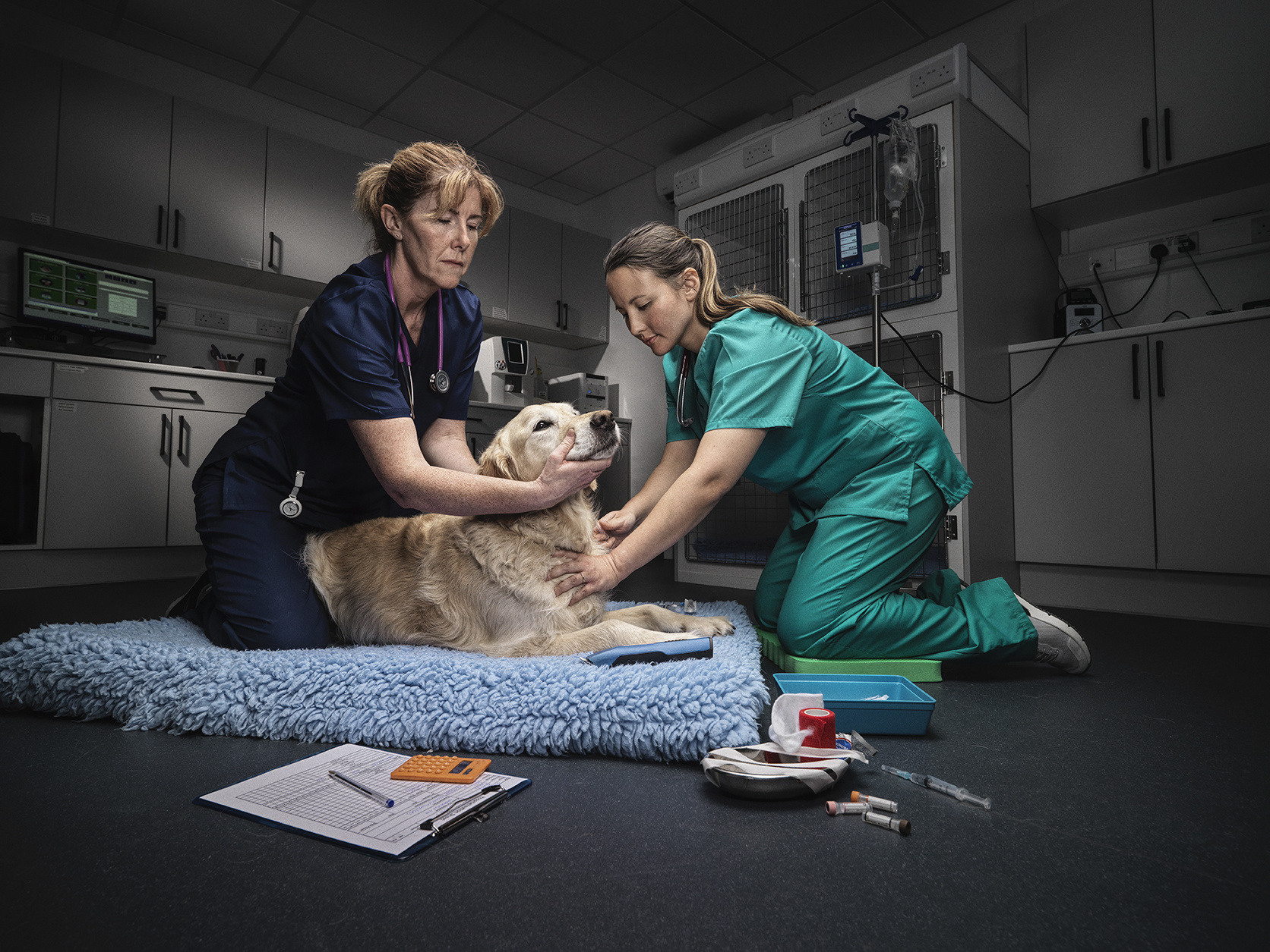 Queensland Veterinary Specialists Radiation Safety Case Study