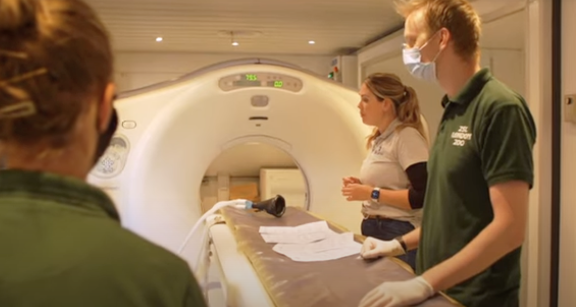 VET.CT Assists with Big CAT Scan